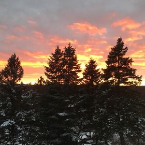 Meet your Posher, Heidi